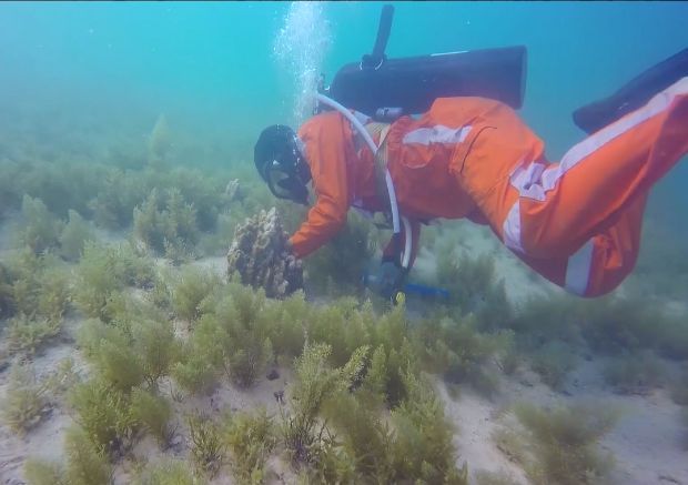 �Ƿ�����(�й���)-�ٷ���վ