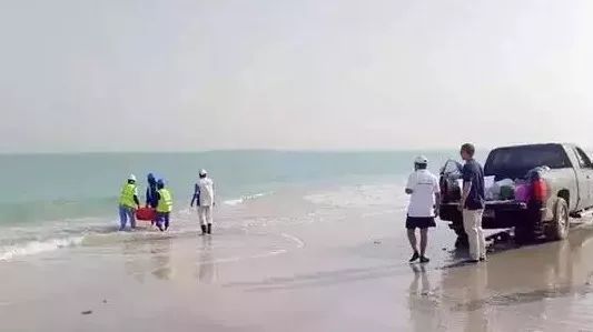 �Ƿ�����(�й���)-�ٷ���վ