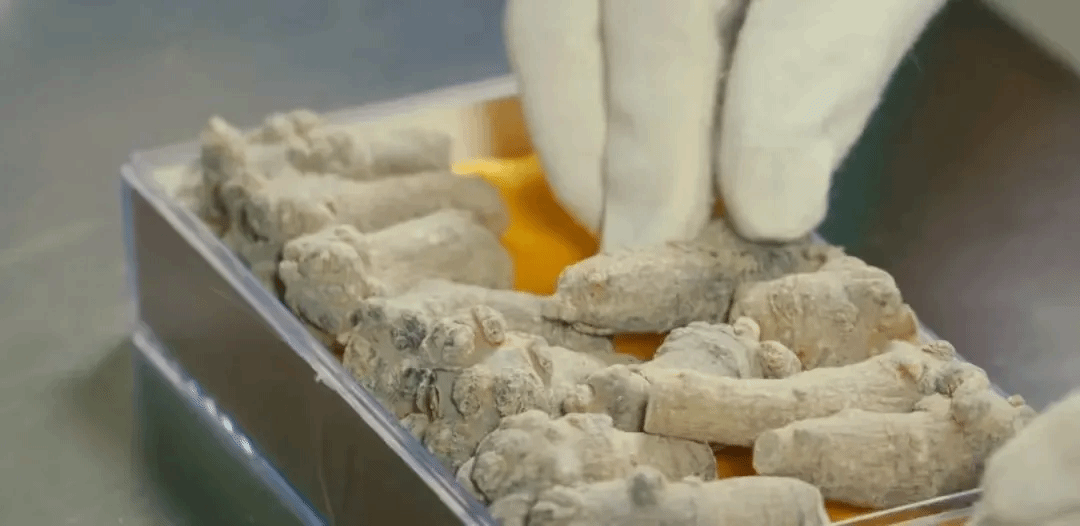 �Ƿ�����(�й���)-�ٷ���վ