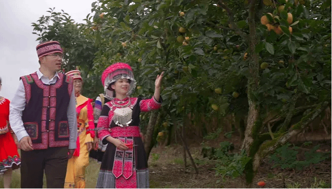 �Ƿ�����(�й���)-�ٷ���վ