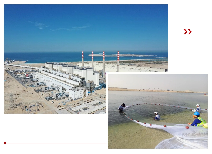 �Ƿ�����(�й���)-�ٷ���վ