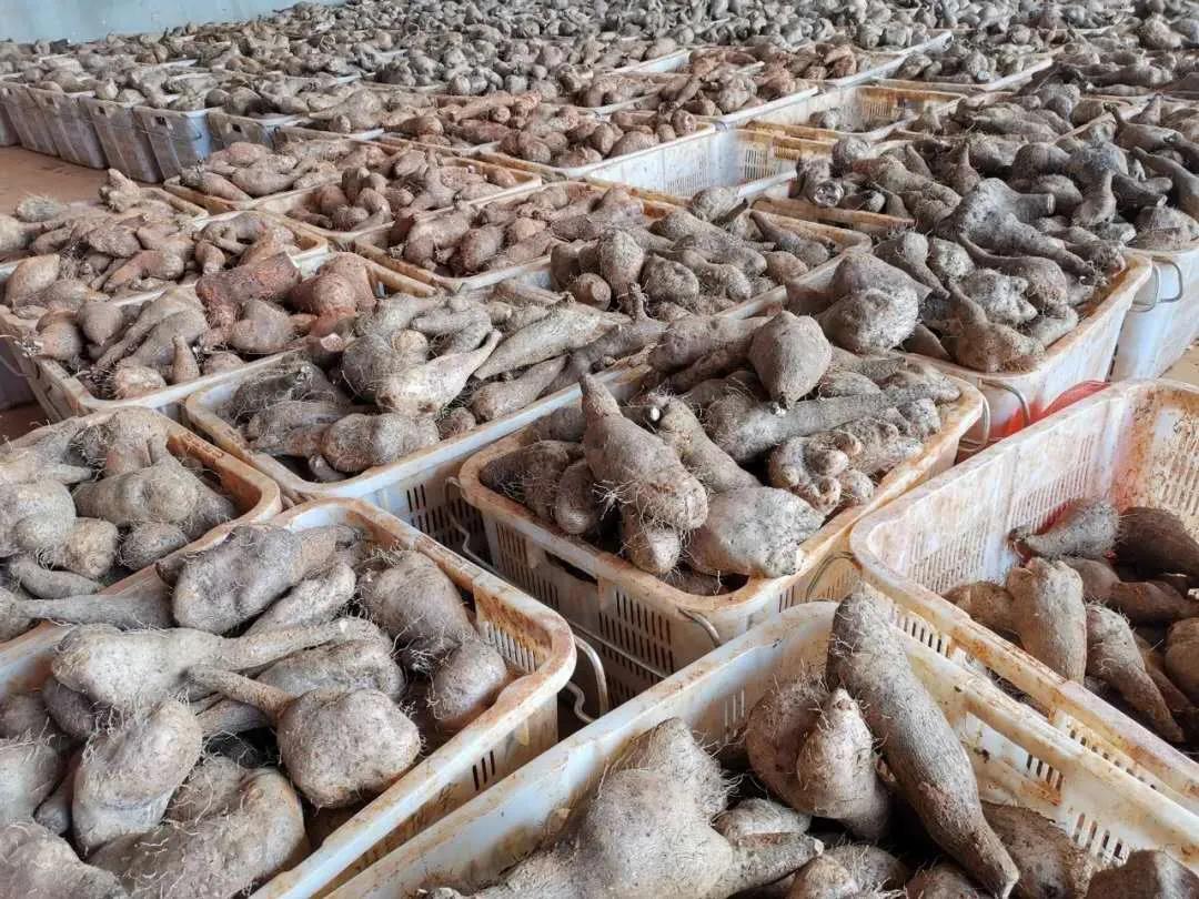 �Ƿ�����(�й���)-�ٷ���վ