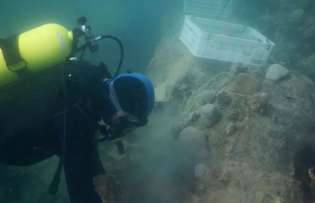 �Ƿ�����(�й���)-�ٷ���վ