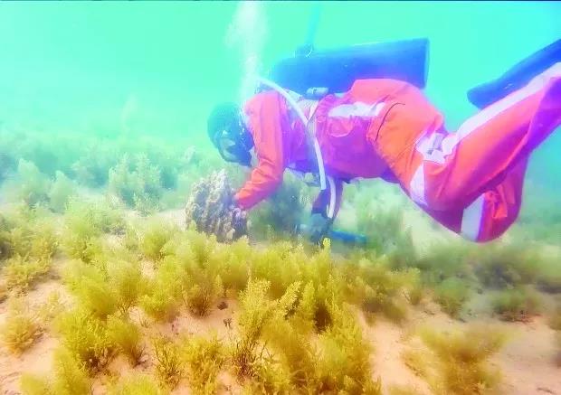 �Ƿ�����(�й���)-�ٷ���վ