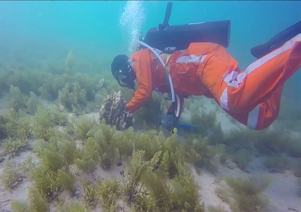 �Ƿ�����(�й���)-�ٷ���վ