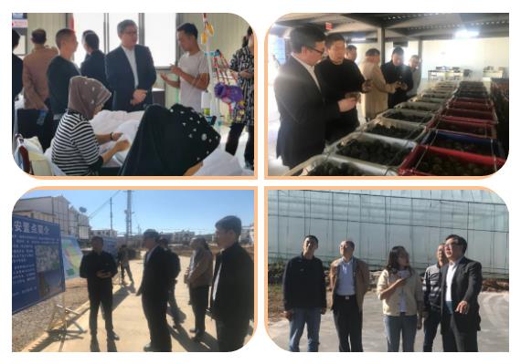 �Ƿ�����(�й���)-�ٷ���վ