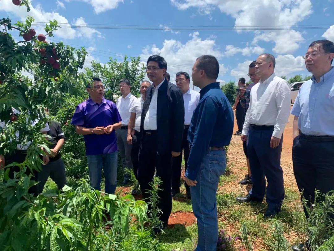 �Ƿ�����(�й���)-�ٷ���վ