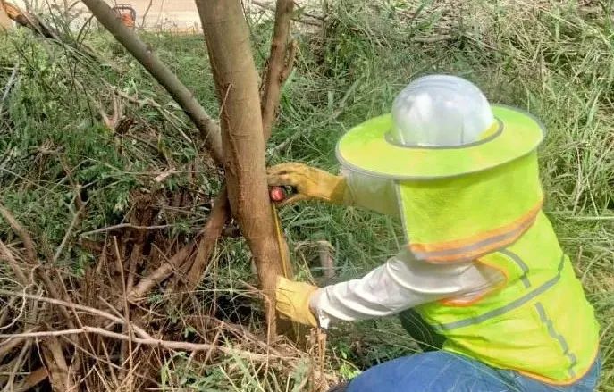 �Ƿ�����(�й���)-�ٷ���վ