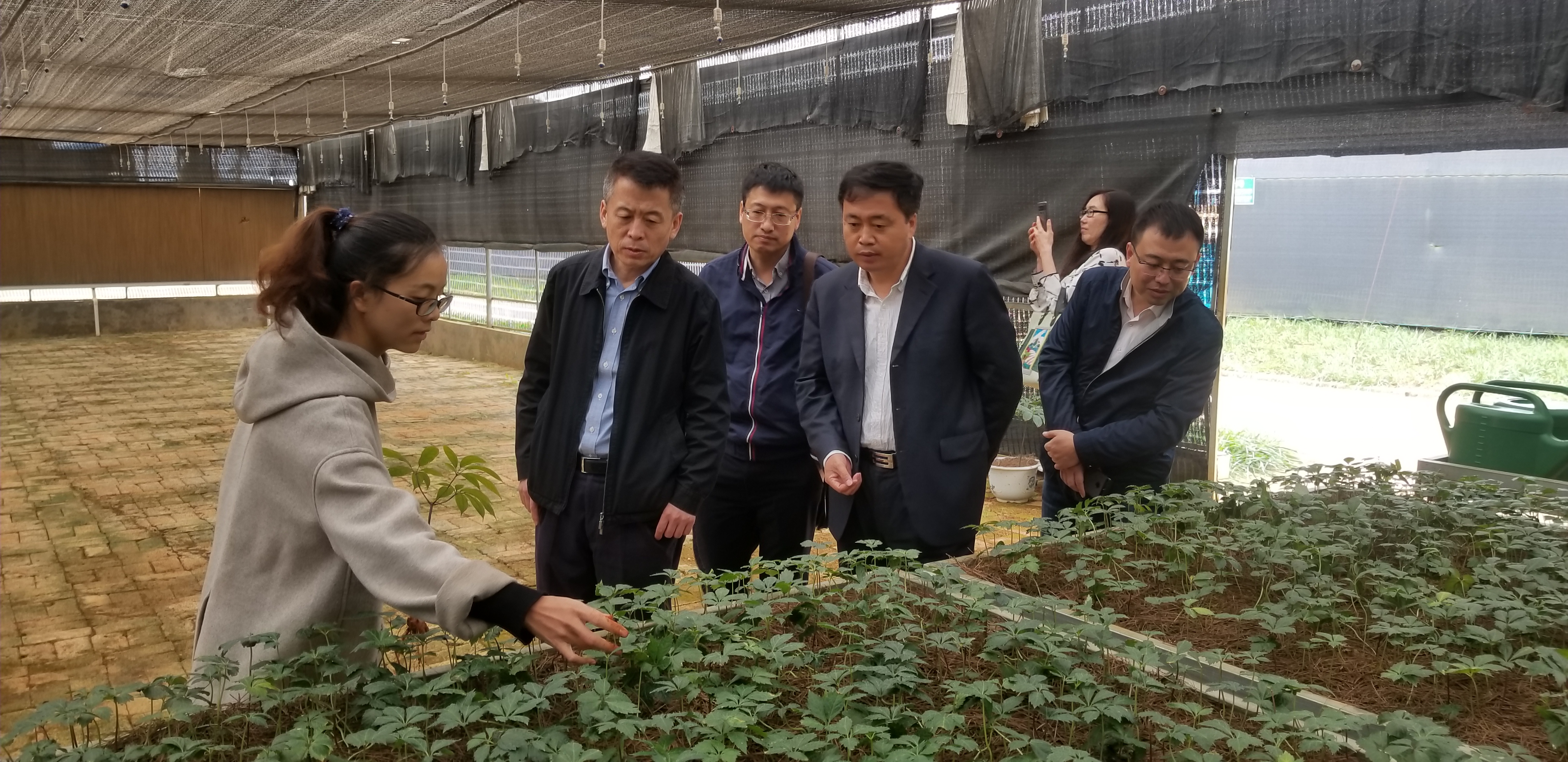 �Ƿ�����(�й���)-�ٷ���վ