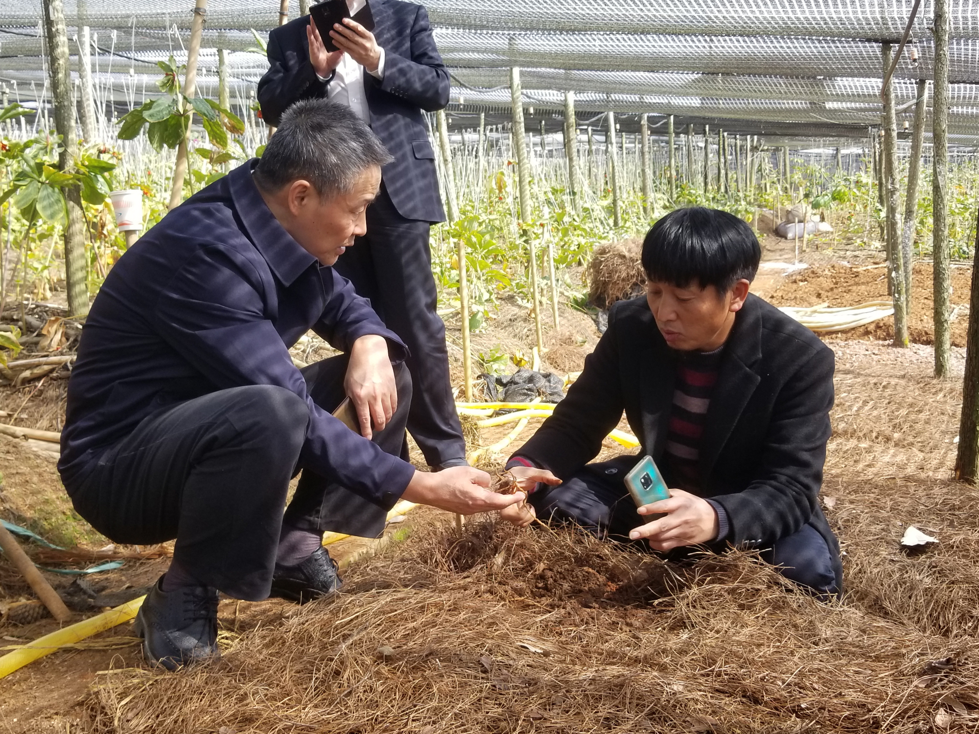 �Ƿ�����(�й���)-�ٷ���վ