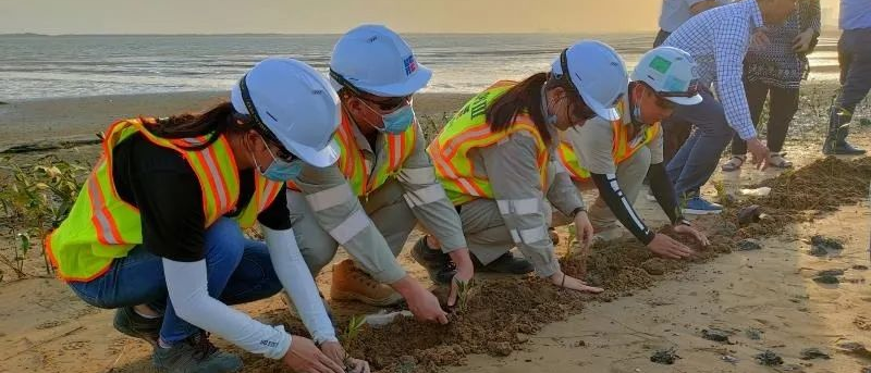 �Ƿ�����(�й���)-�ٷ���վ