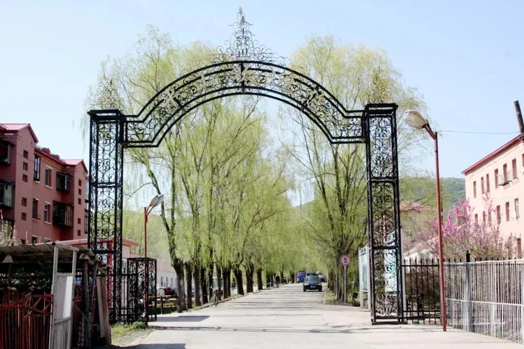 �Ƿ�����(�й���)-�ٷ���վ